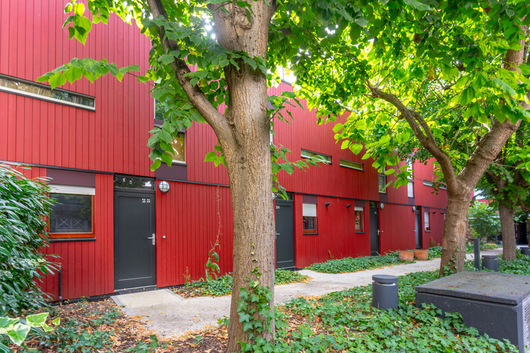 Marie Schweitzer - DSC04550.jpg