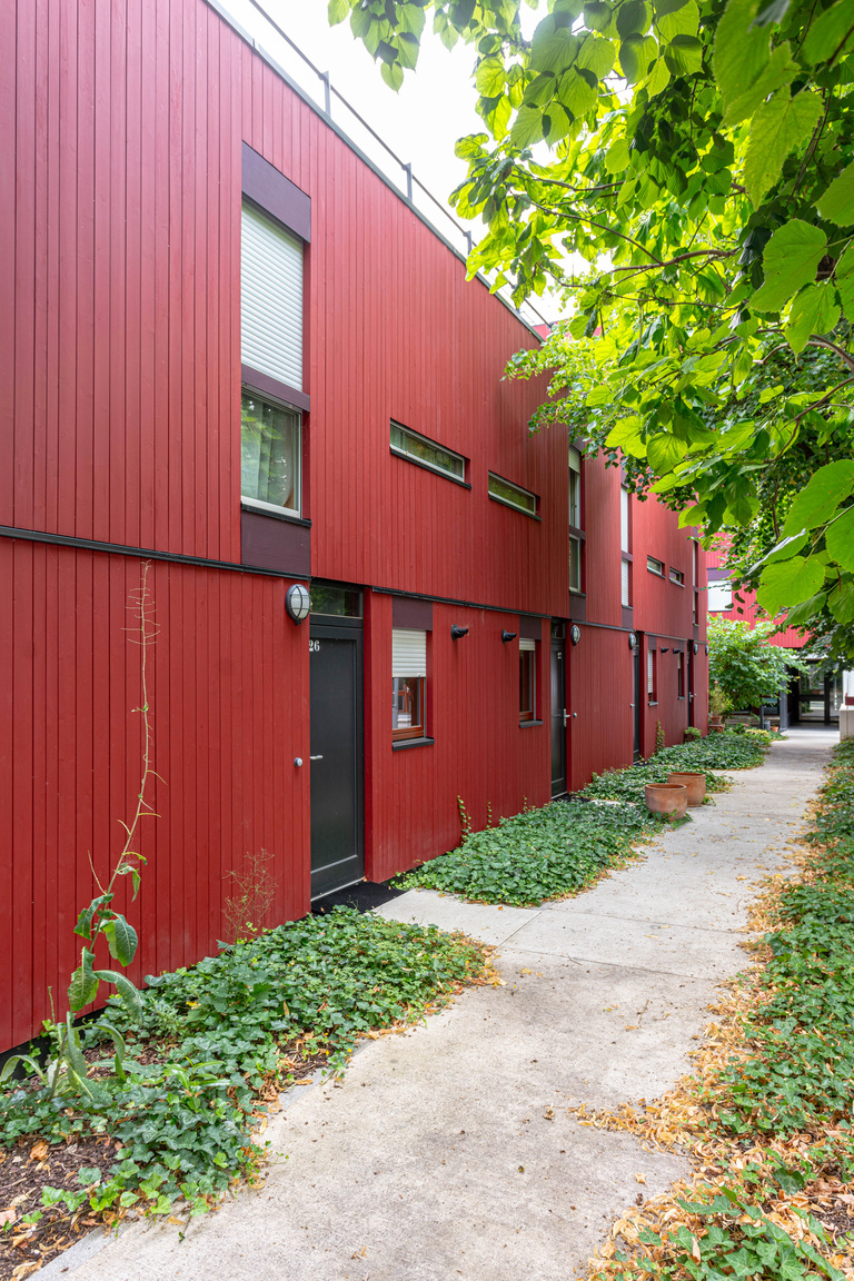 Marie Schweitzer - DSC04564.jpg