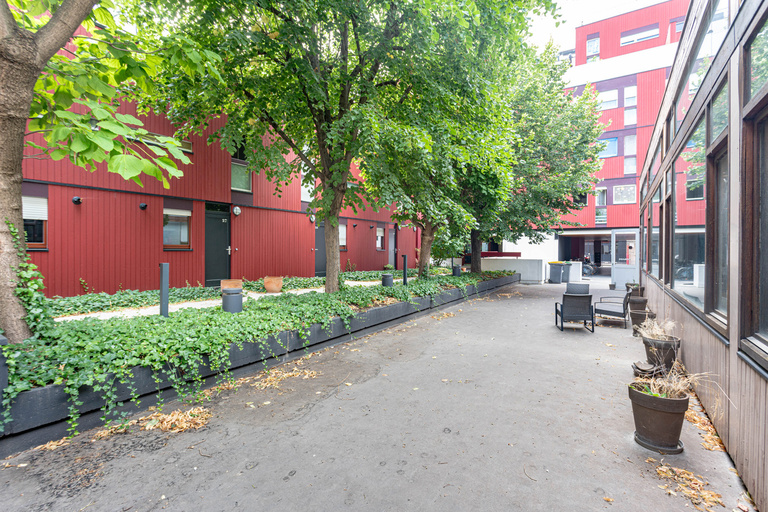 Marie Schweitzer - DSC04580.jpg