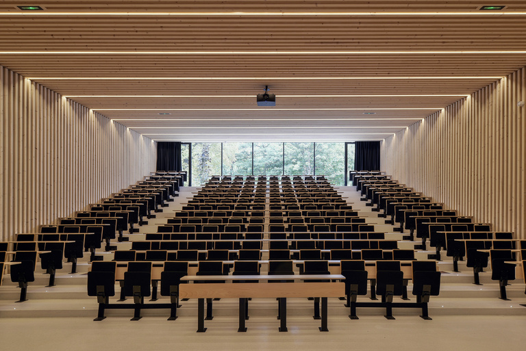 Marie Schweitzer - Franck Renoir -0098bd.jpg