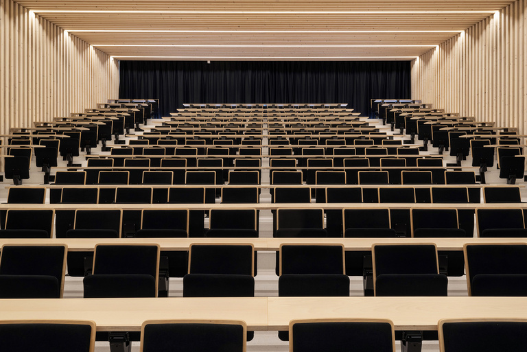 Marie Schweitzer - Franck Renoir -0159bd.jpg