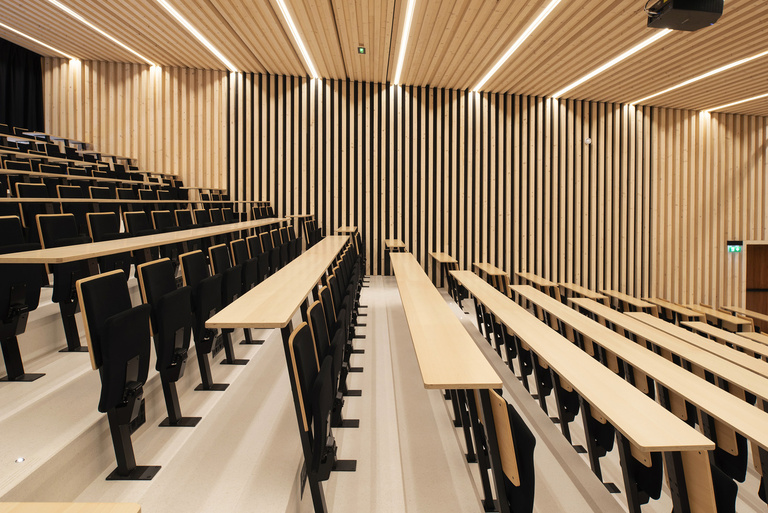 Marie Schweitzer - Franck Renoir -0190bd.jpg