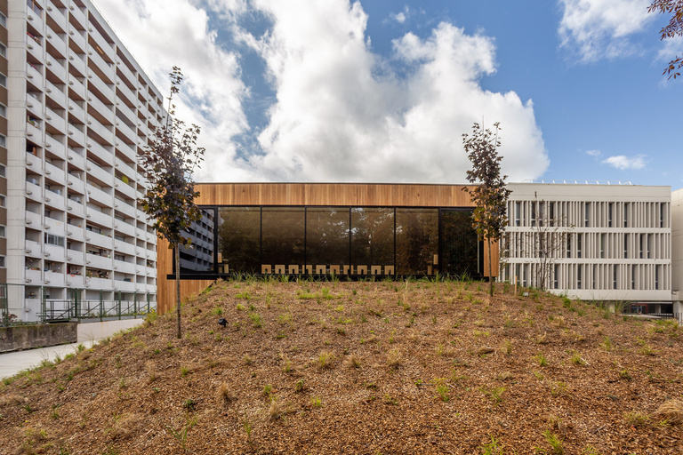 Marie Schweitzer - IMG_8527.jpg