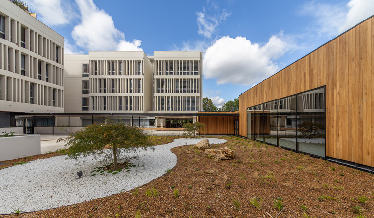 Marie Schweitzer - IMG_8565.jpg