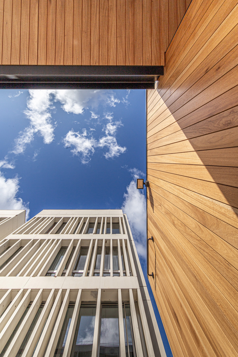 Marie Schweitzer - IMG_8604.jpg