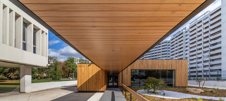 Marie Schweitzer - IMG_8615.jpg