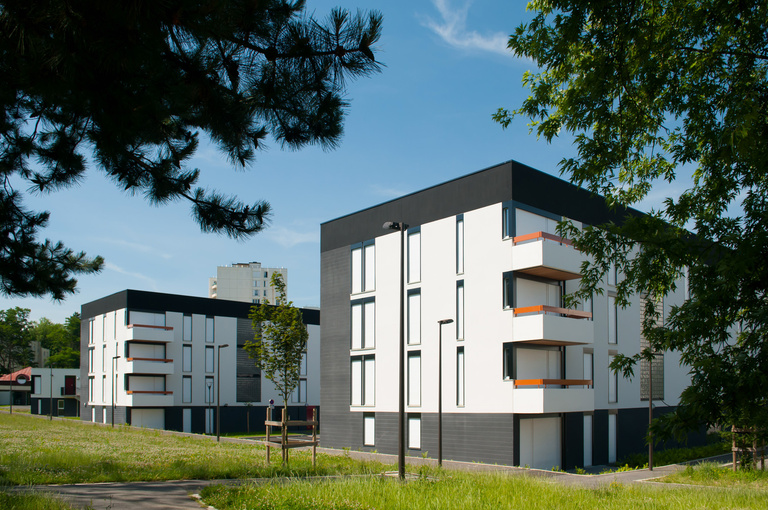 Marie Schweitzer - Projet Mésanges-4.jpg