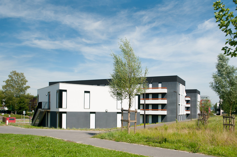 Marie Schweitzer - Projet Mésanges-7.jpg