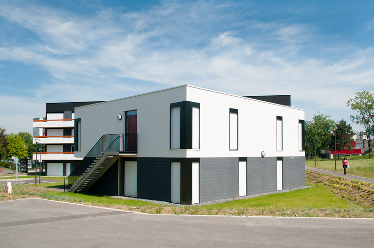 Marie Schweitzer - Projet Mésanges-9.jpg