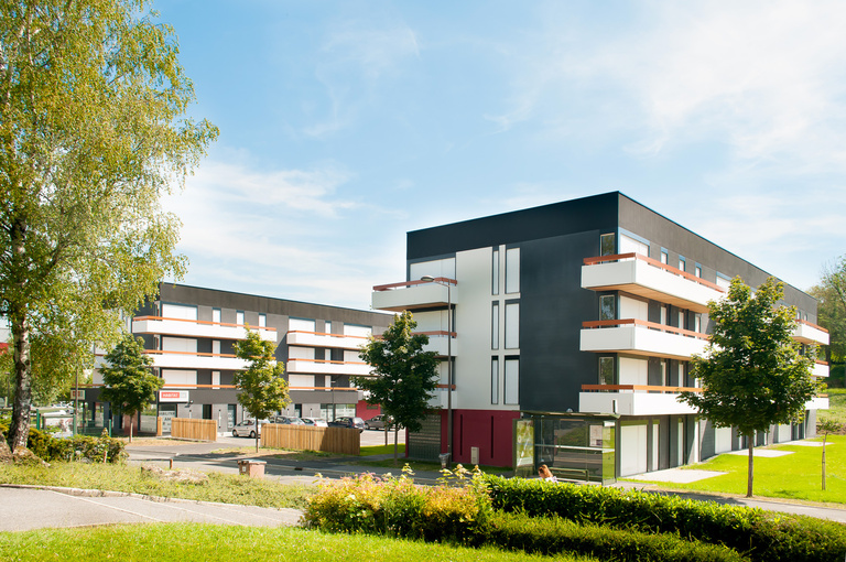 Marie Schweitzer - Projet Mésanges-14.jpg