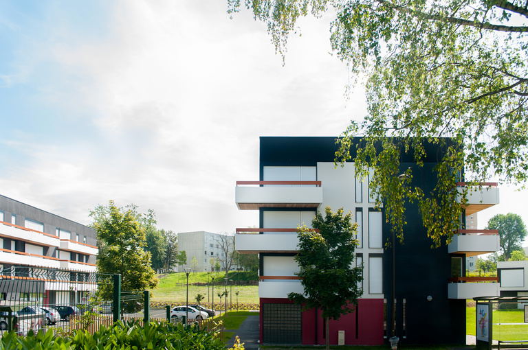 Marie Schweitzer - Projet Mésanges-15.jpg