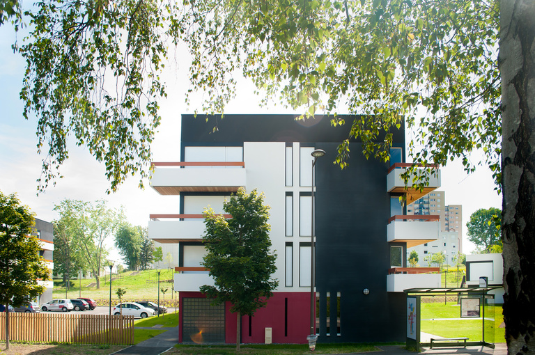 Marie Schweitzer - Projet Mésanges-16.jpg