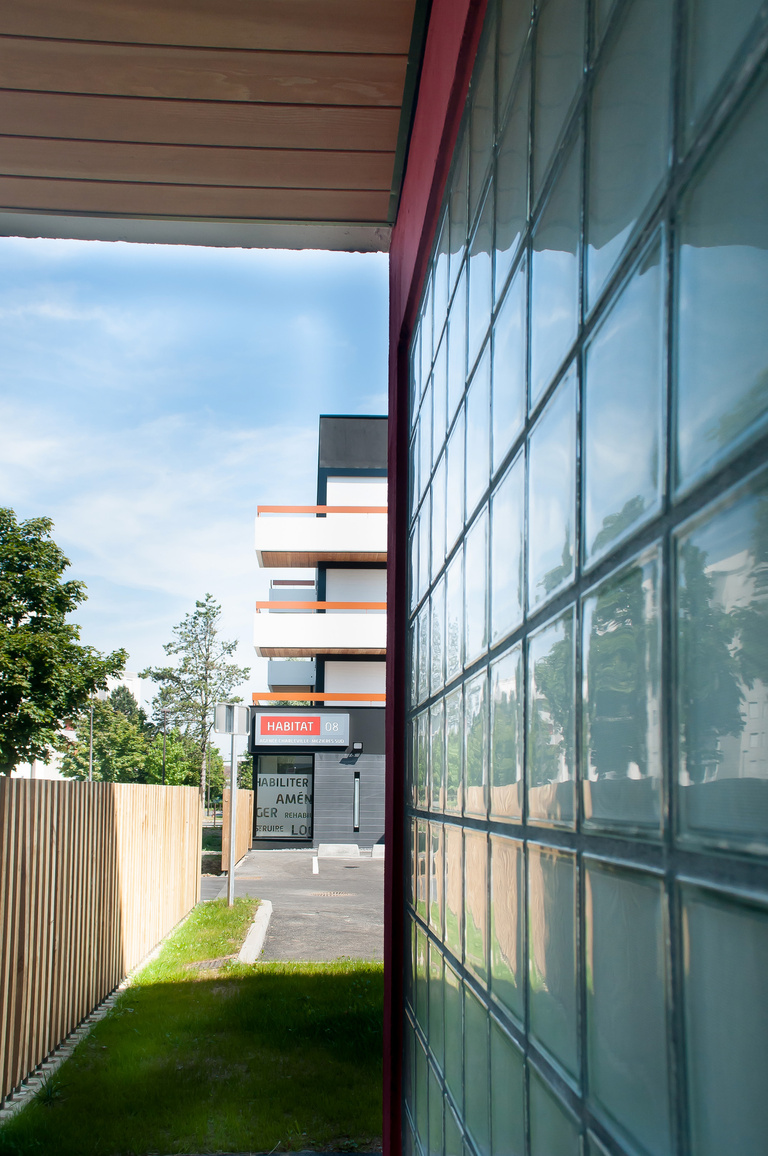 Marie Schweitzer - Projet Mésanges-17.jpg