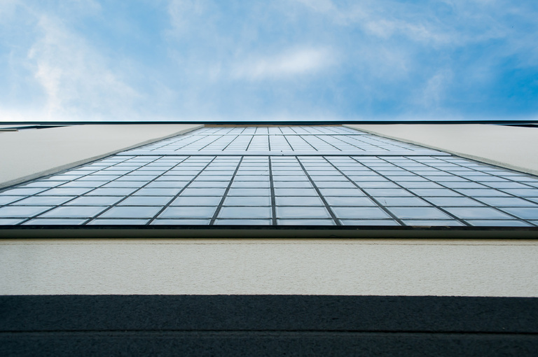 Marie Schweitzer - Projet Mésanges-18.jpg