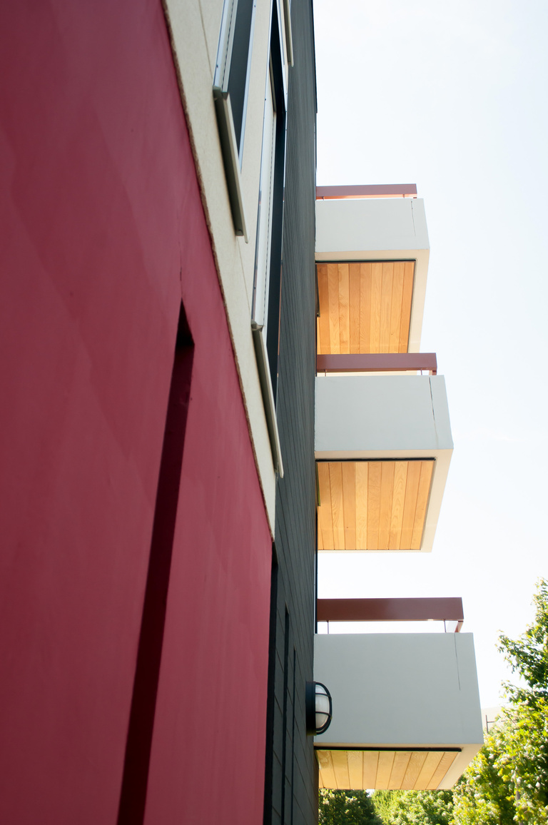 Marie Schweitzer - Projet Mésanges-19.jpg