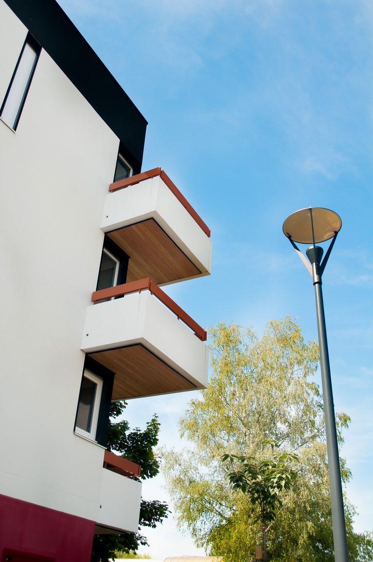 Marie Schweitzer - Projet Mésanges-21.jpg