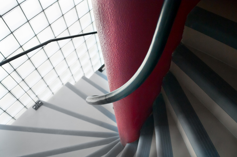 Marie Schweitzer - Projet Mésanges-24.jpg