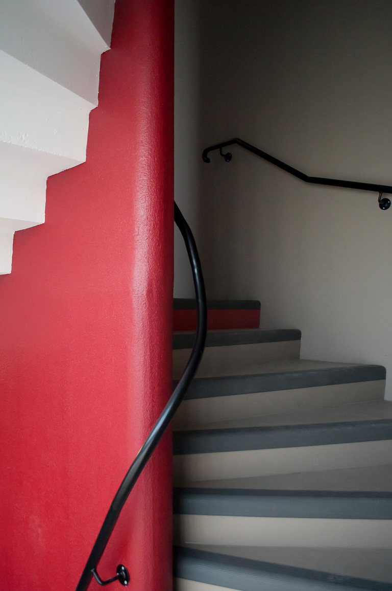 Marie Schweitzer - Projet Mésanges-26.jpg