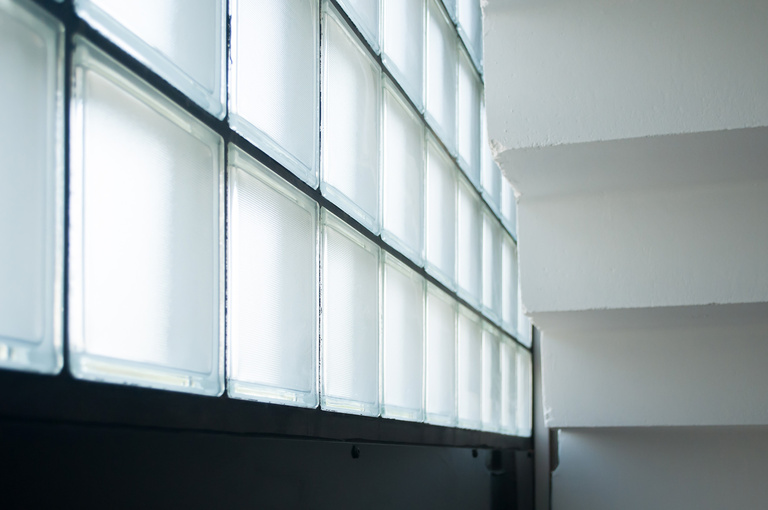 Marie Schweitzer - Projet Mésanges-27.jpg