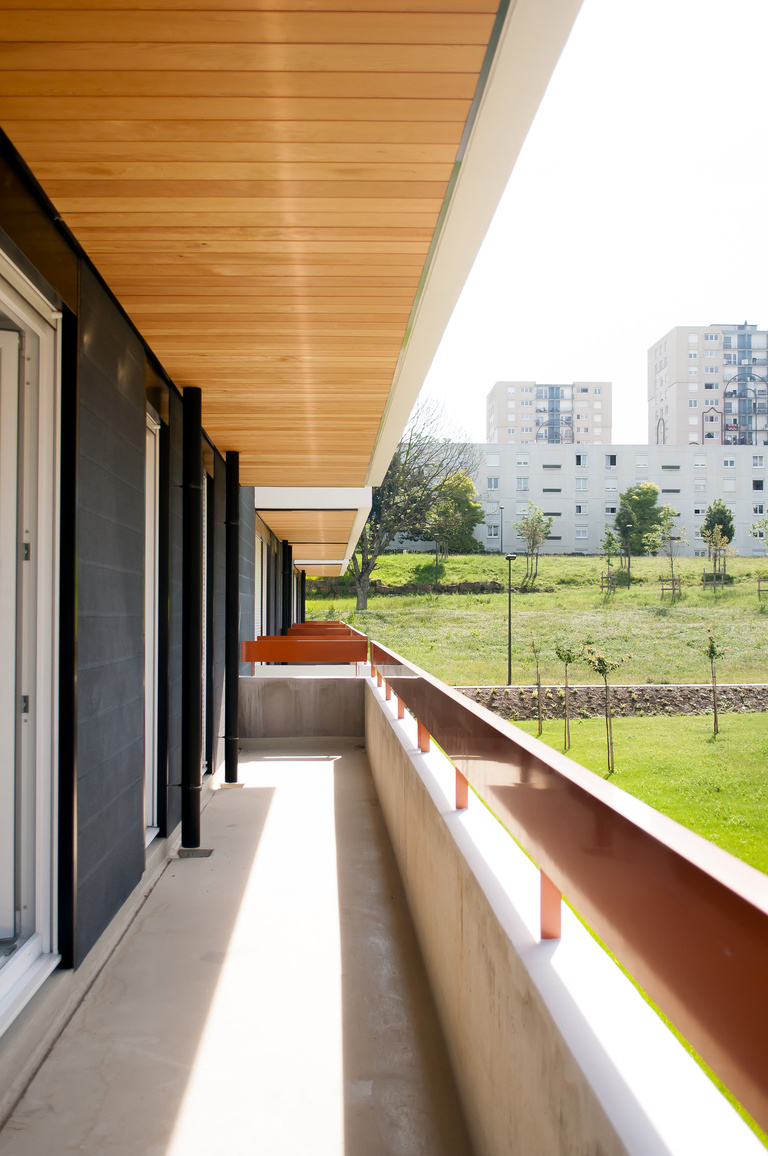 Marie Schweitzer - Projet Mésanges-32.jpg