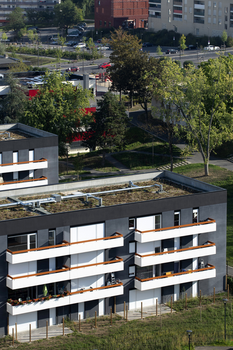 Marie Schweitzer - Franck Renoir -8455.jpg