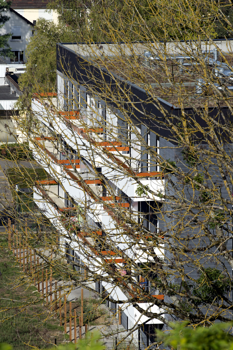 Marie Schweitzer - Franck Renoir -8467.jpg