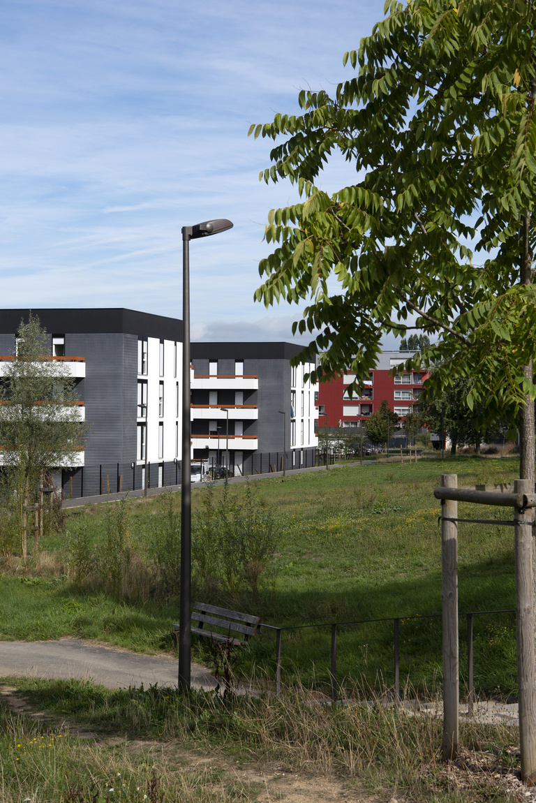 Marie Schweitzer - Franck Renoir -8538.jpg