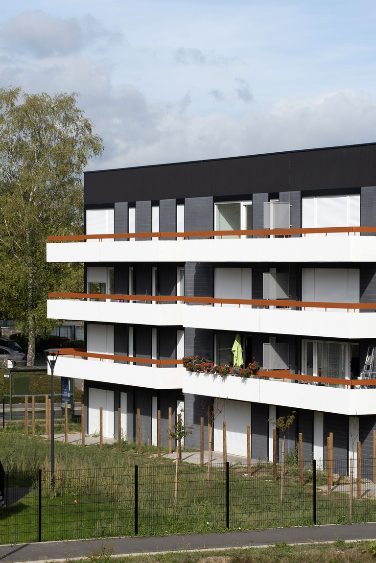 Marie Schweitzer - Franck Renoir -8547.jpg