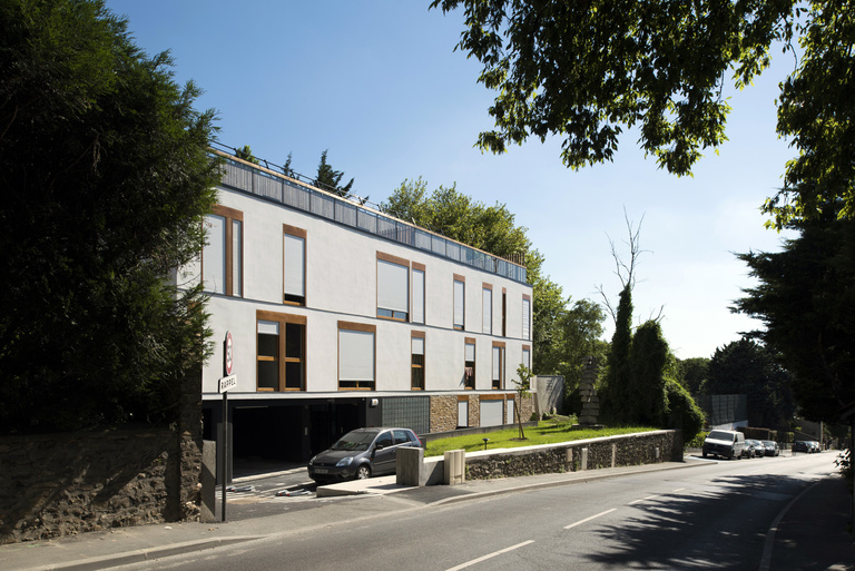 Marie Schweitzer - _7509524.jpg