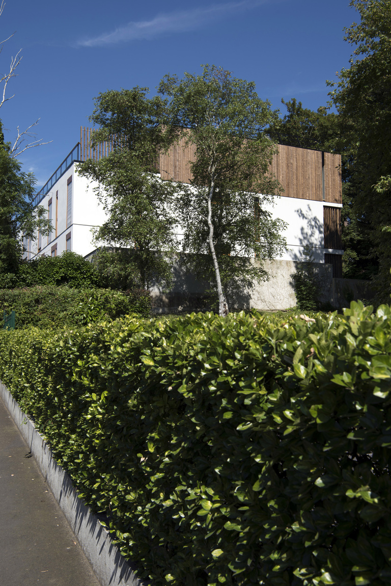 Marie Schweitzer - _7509555.jpg