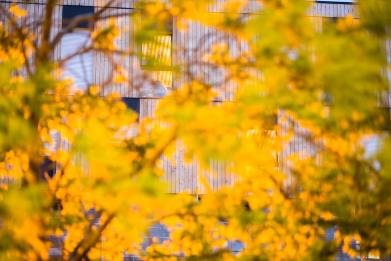 Marie Schweitzer - SCHWEITZER_TOLBIAC_HD-26.jpg