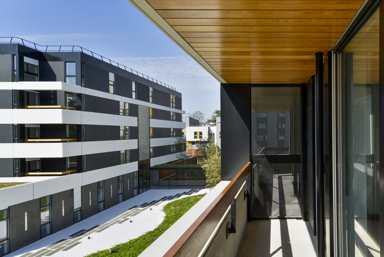 Marie Schweitzer - _FRR4067.jpg