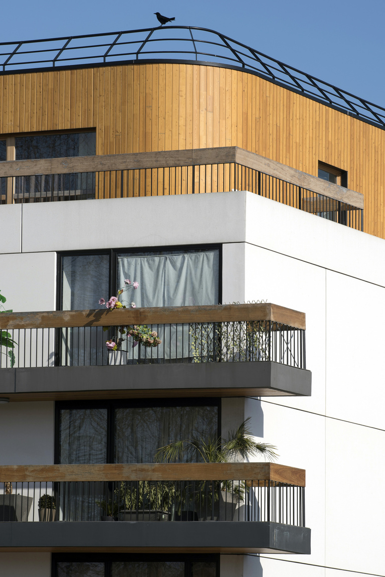 Marie Schweitzer - _DSC2080.jpg