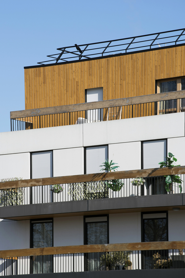 Marie Schweitzer - _DSC2081.jpg