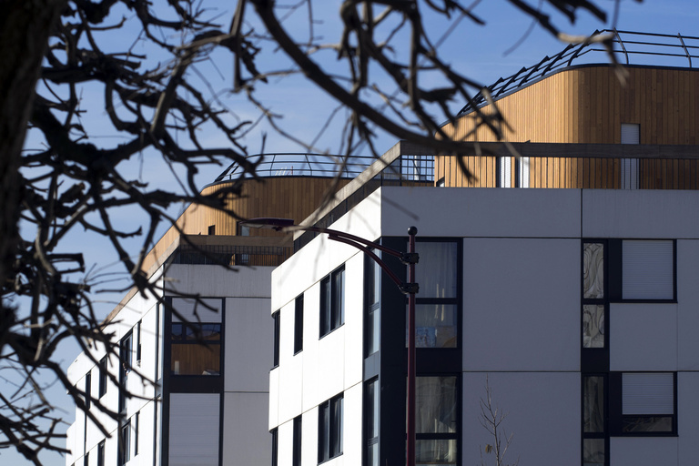 Marie Schweitzer - _DSC2183.jpg