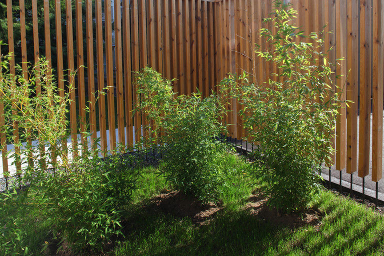 Marie Schweitzer - SCHWEITZER_2010_IRM_FM_11H45_SELECTION_31.jpg