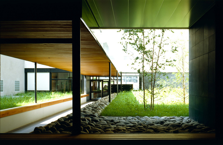 Marie Schweitzer - 430-JARDIN02.jpg