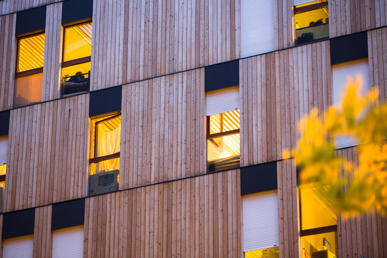 Marie Schweitzer - Bois