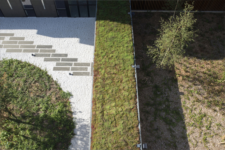 Marie Schweitzer - Paysage